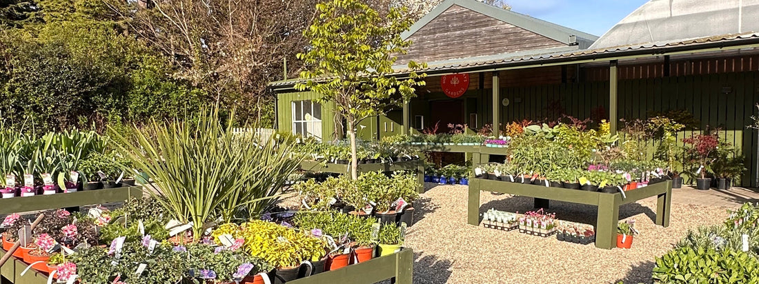 Howbert & Mays garden centre Airfield Dundrum