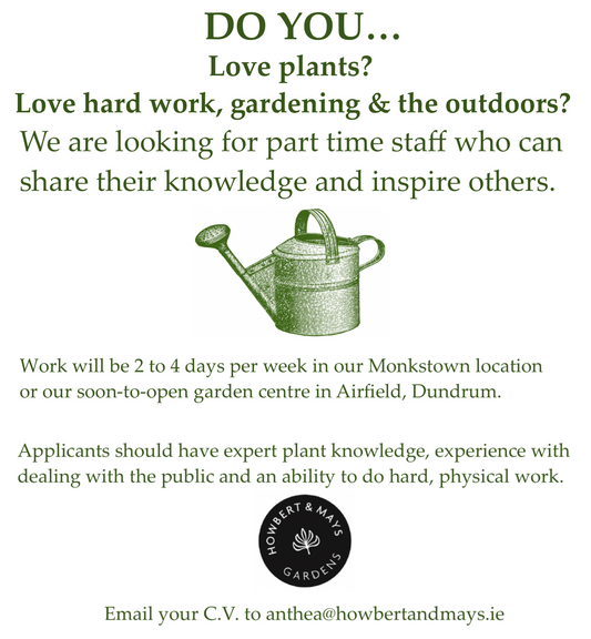 WE ARE HIRING!