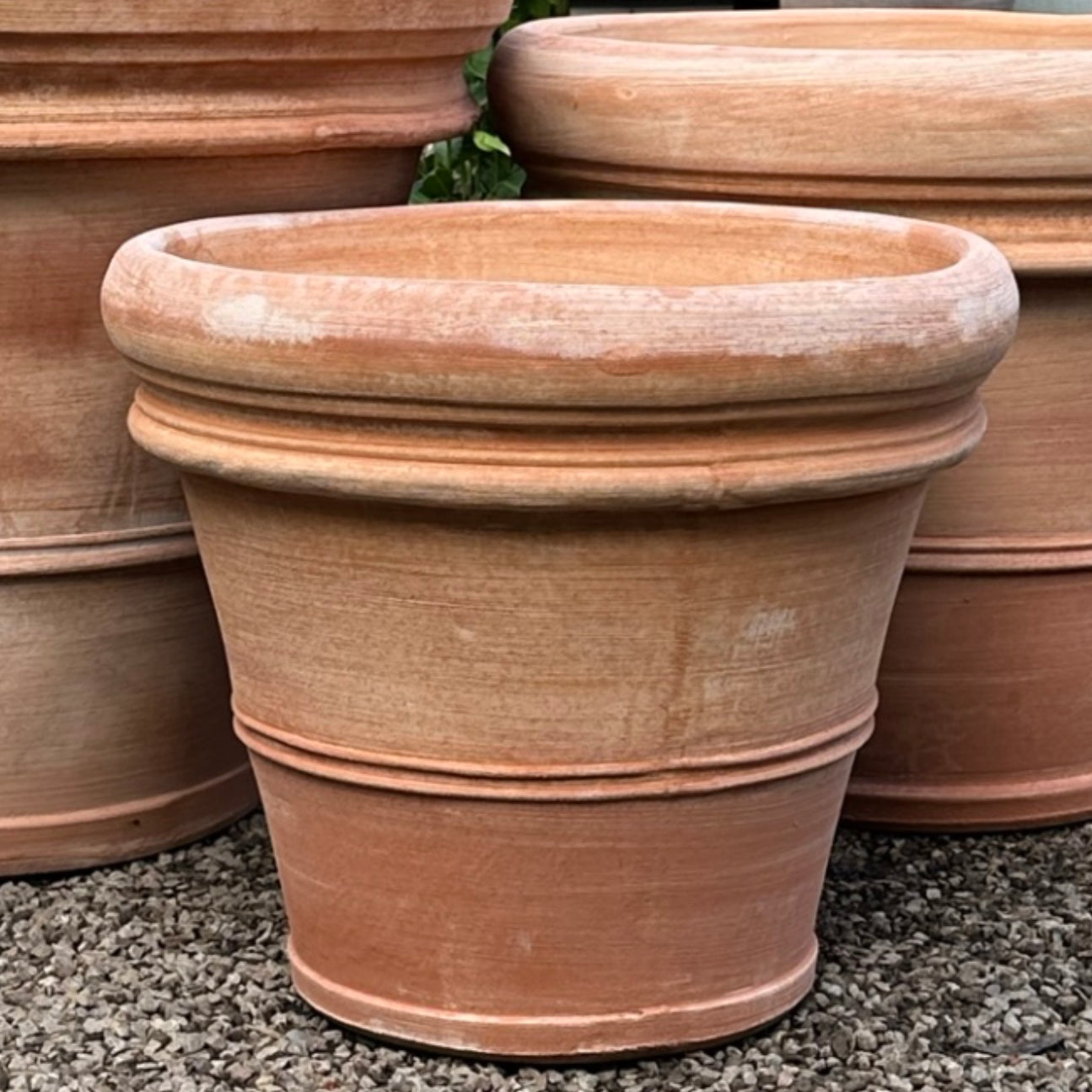 Italian terracotta 'Double Border' pot (multiple sizes)
