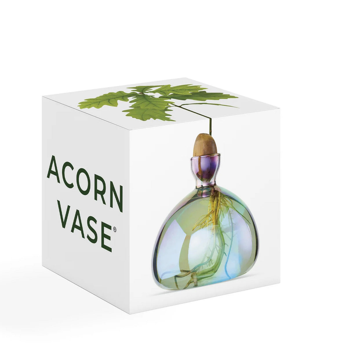 Acorn Vase 'Cosmic Lyra', by Ilex Studio