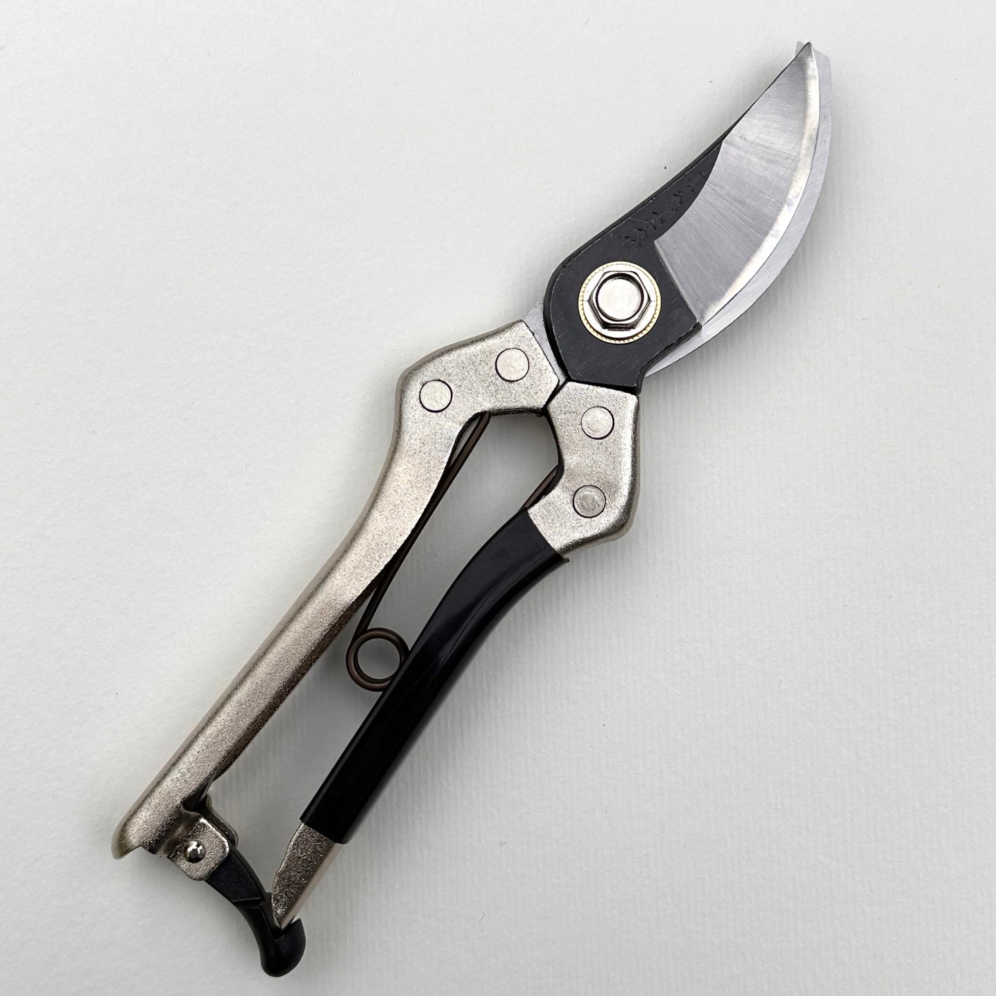 'Asaka' secateurs