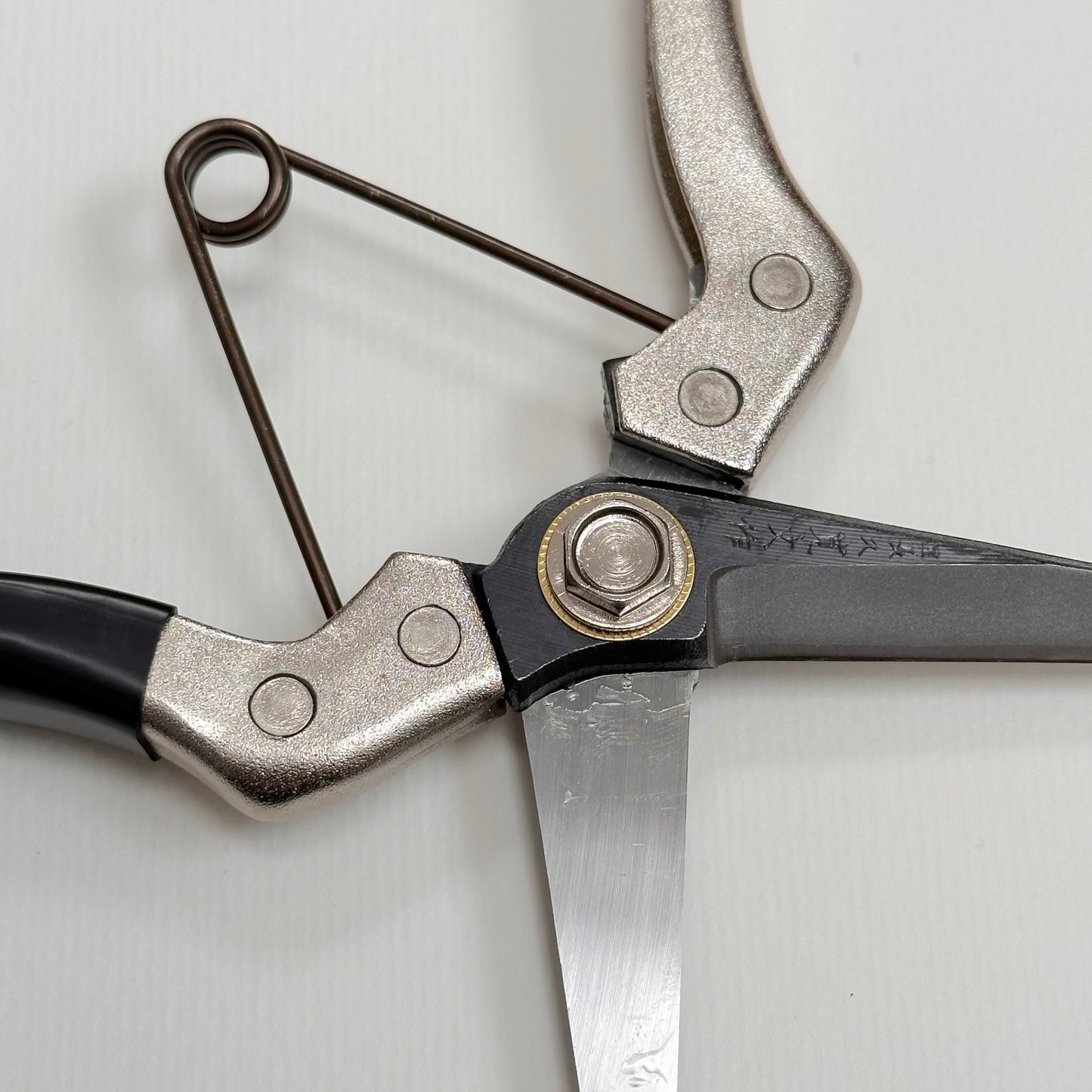 'Asaka' garden snips
