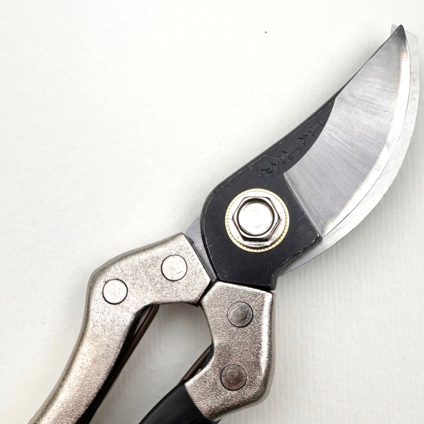 'Asaka' secateurs