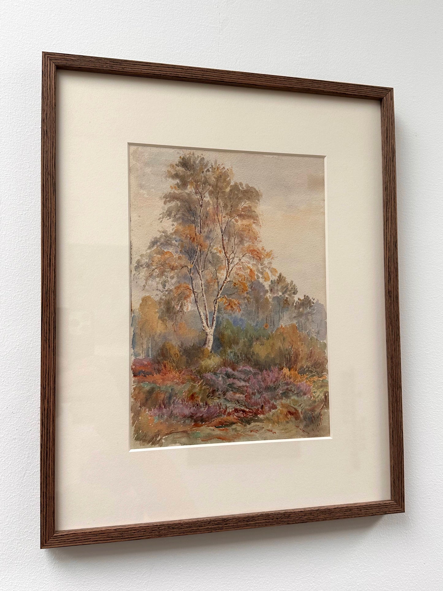 Anonymous, Birch tree and Heather