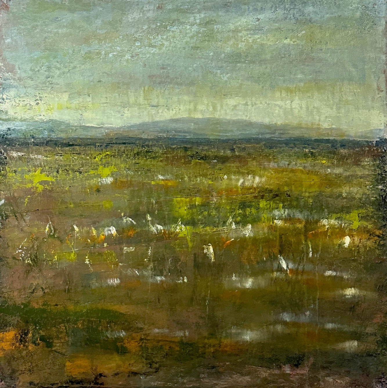 Conor Gallagher, Sponge (2023)