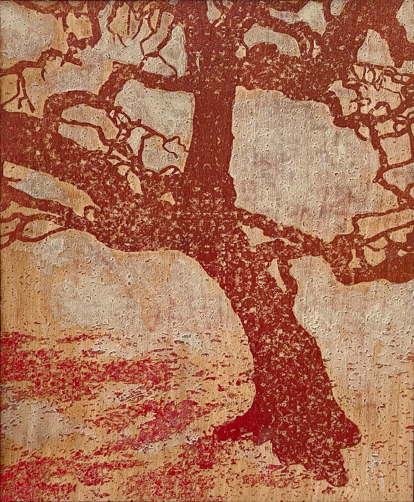 Conor Gallagher, Cork oak