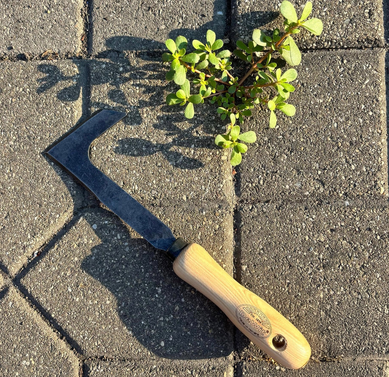 DeWit 'Patio knife' (Item No. 3059)