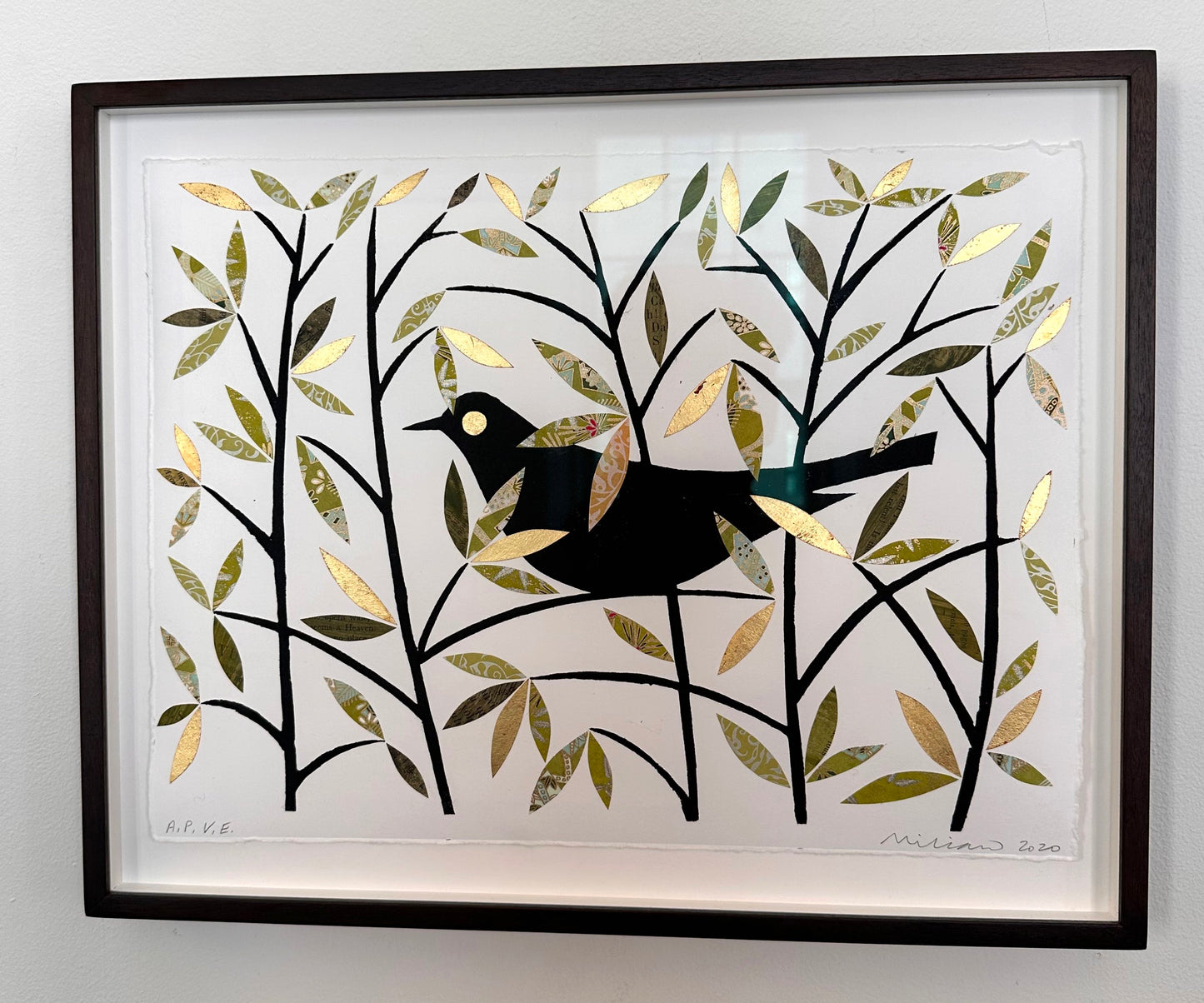 Ed Miliano, Summer Blackbird