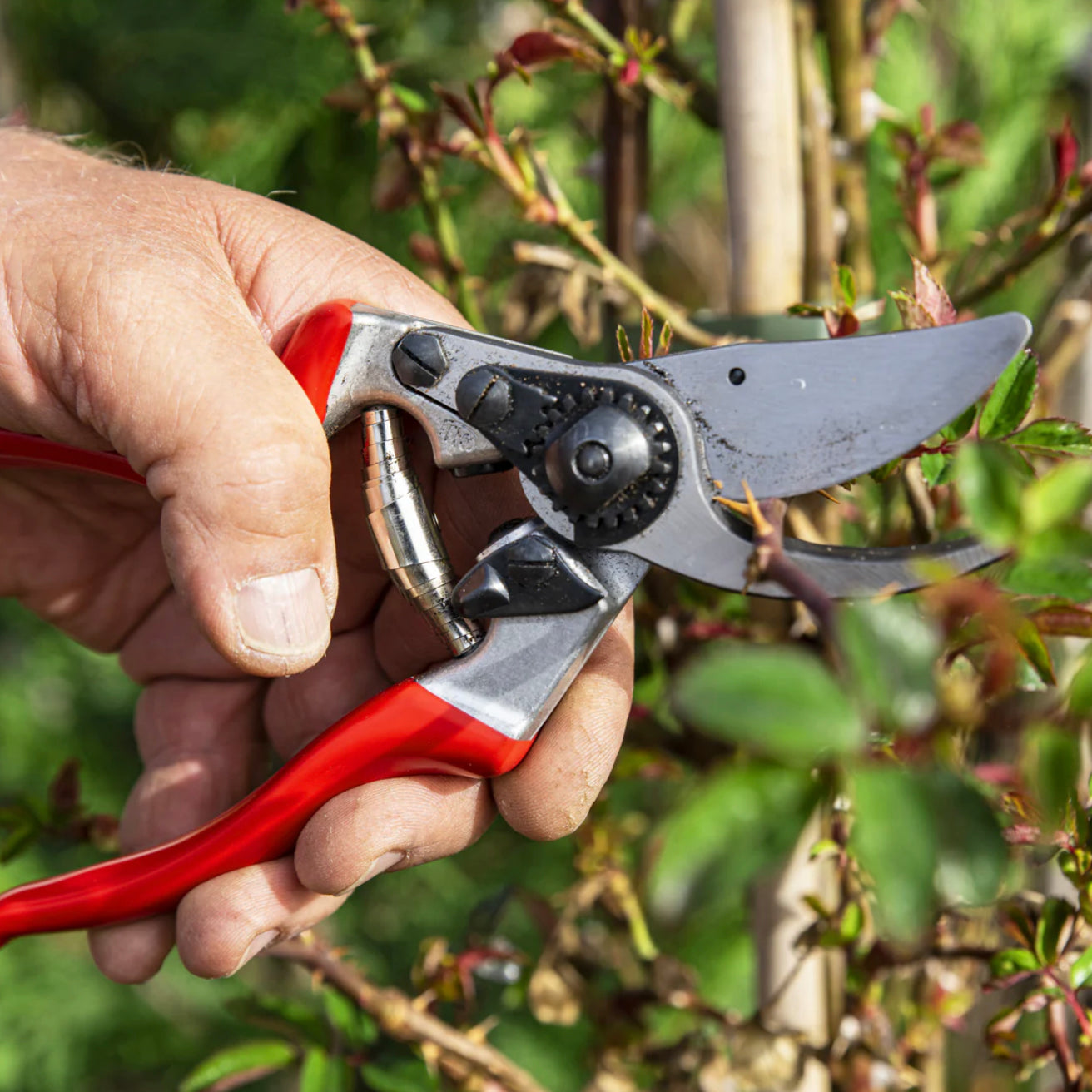 Felco 'No 9' left handed secateurs