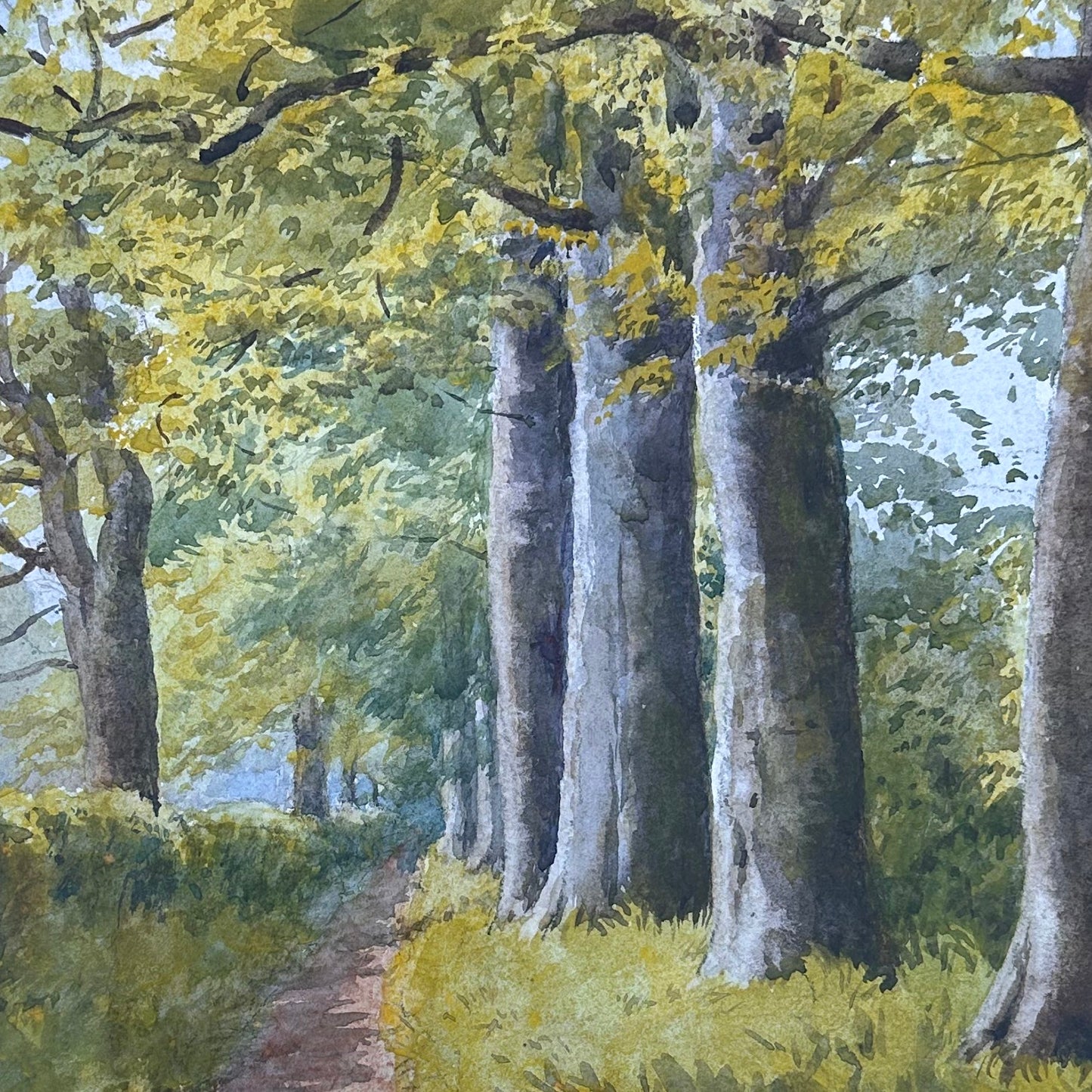 Helen Colville (1856-1953), Beech Trees