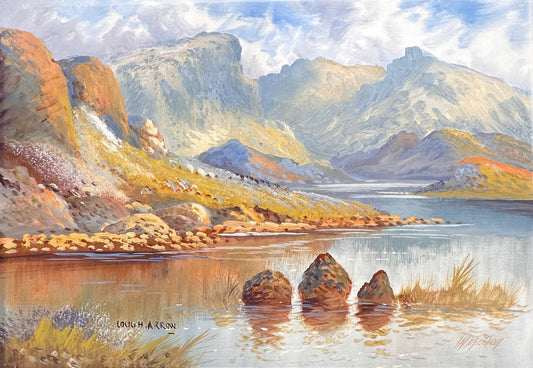 James Jameson (1855 - 1930), Lough Arrow