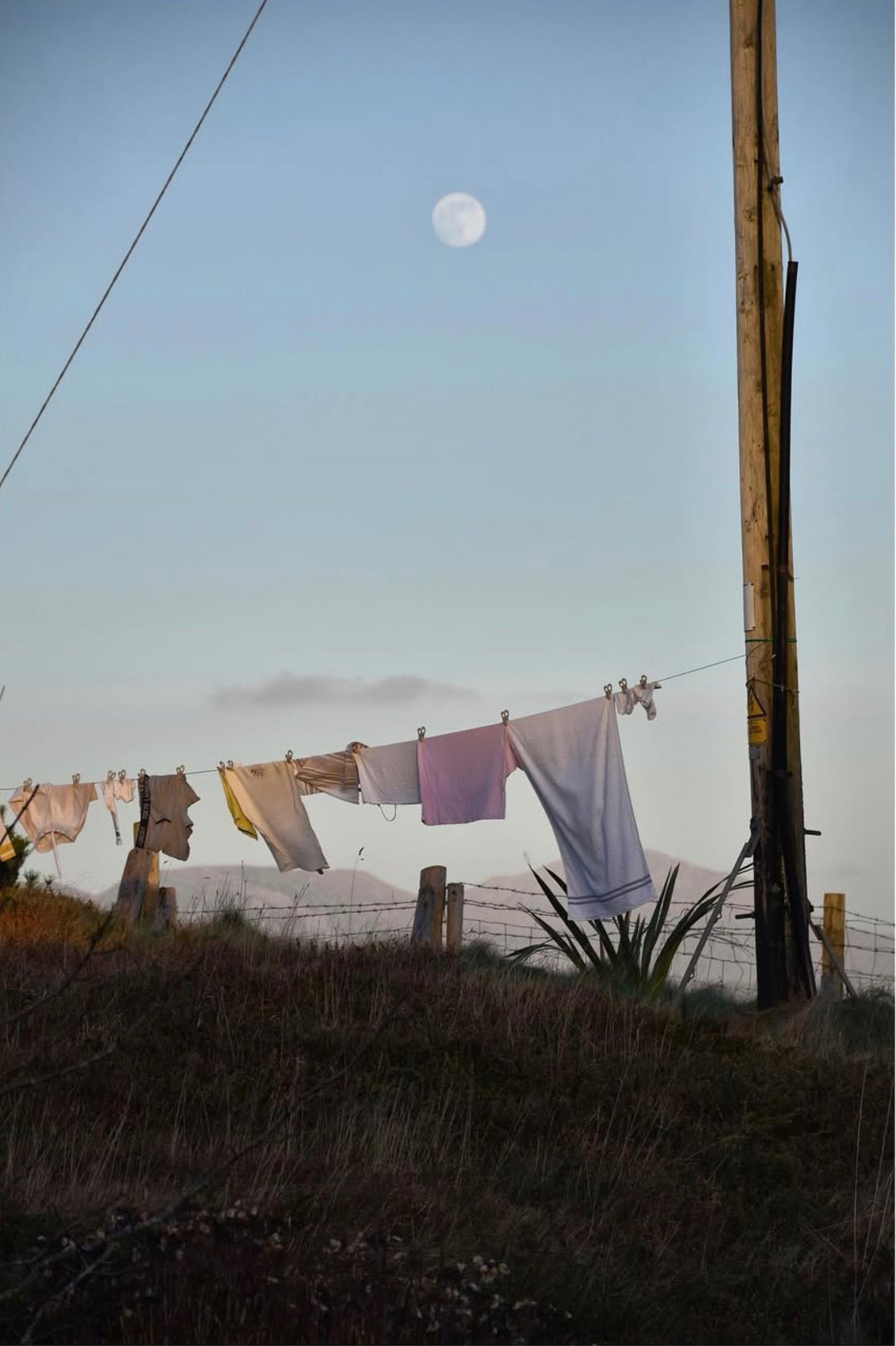 Jane Williams, Tokyo Laundry