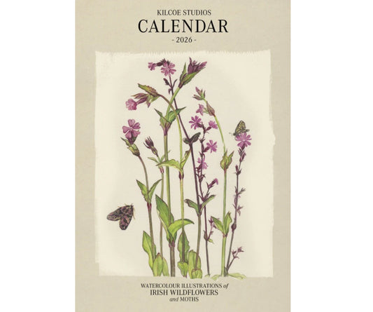 Kilcoe Calendar 2026: Irish wildflowers & moths