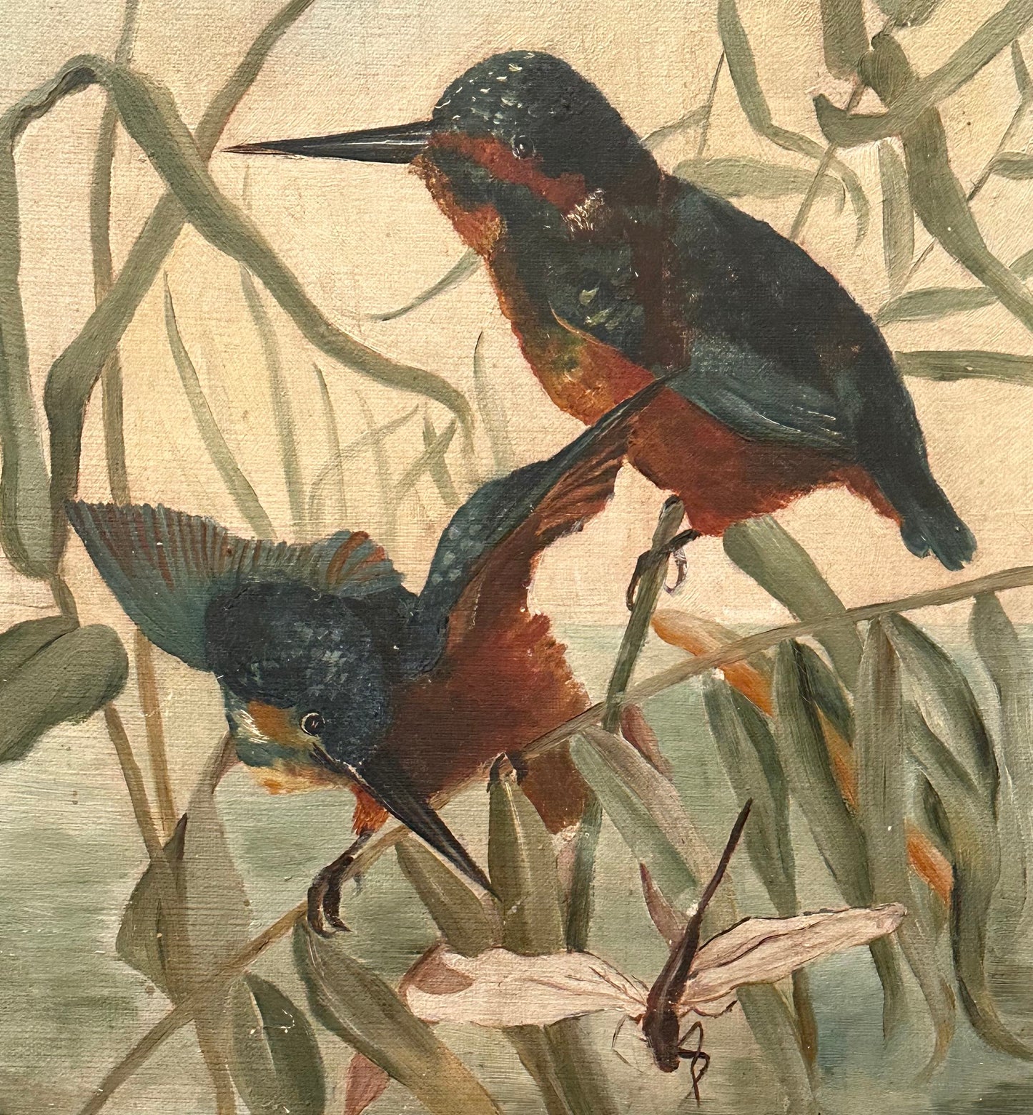 Anonymous, Kingfishers and Dragonfly