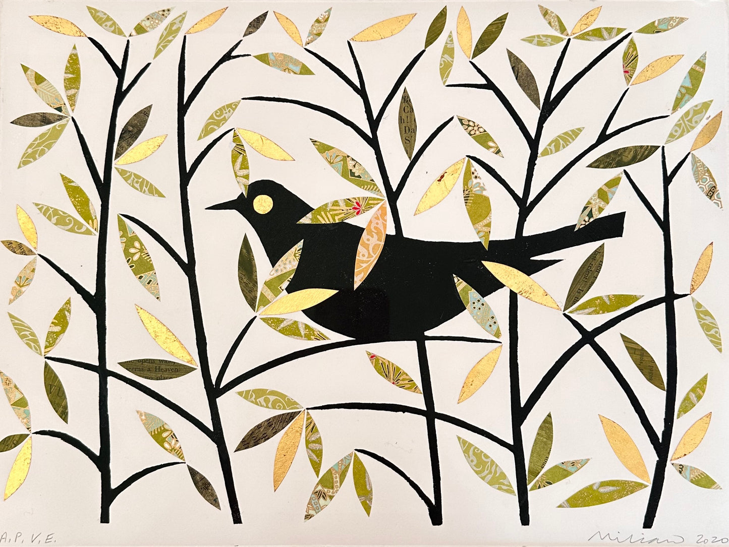 Ed Miliano, Summer Blackbird