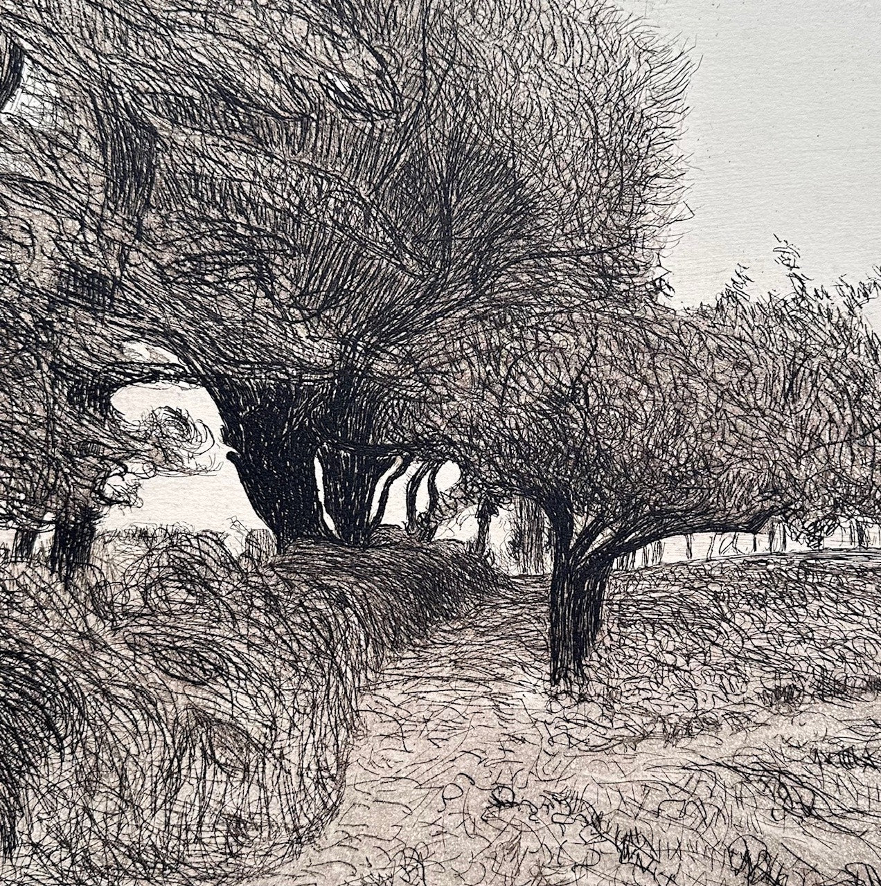 Roderic O'Conor (1860-1940), Sentier à travers les Arbres (1893)