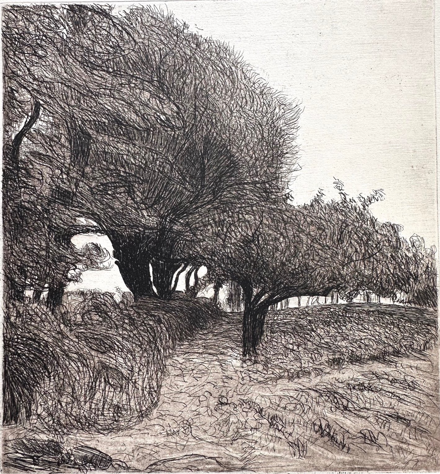 Roderic O'Conor (1860-1940), Sentier à travers les Arbres (1893)
