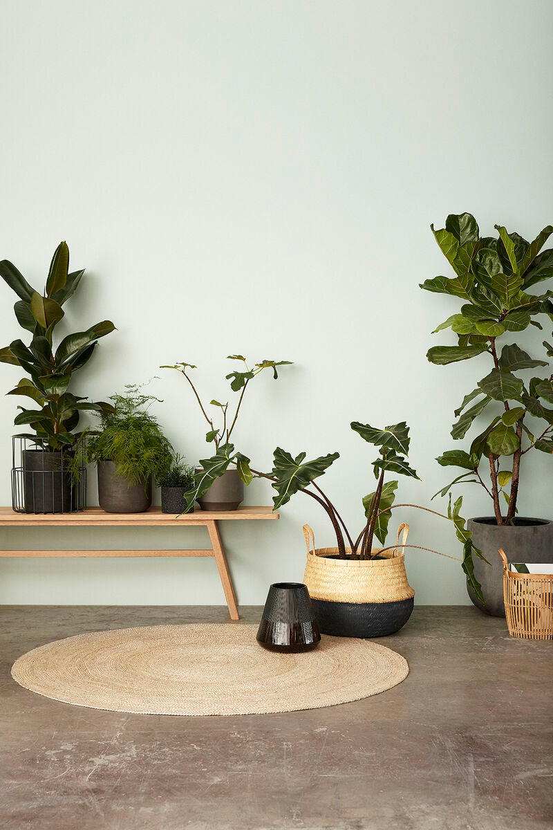 'Sage' rug 150cm diameter (jute/natural)
