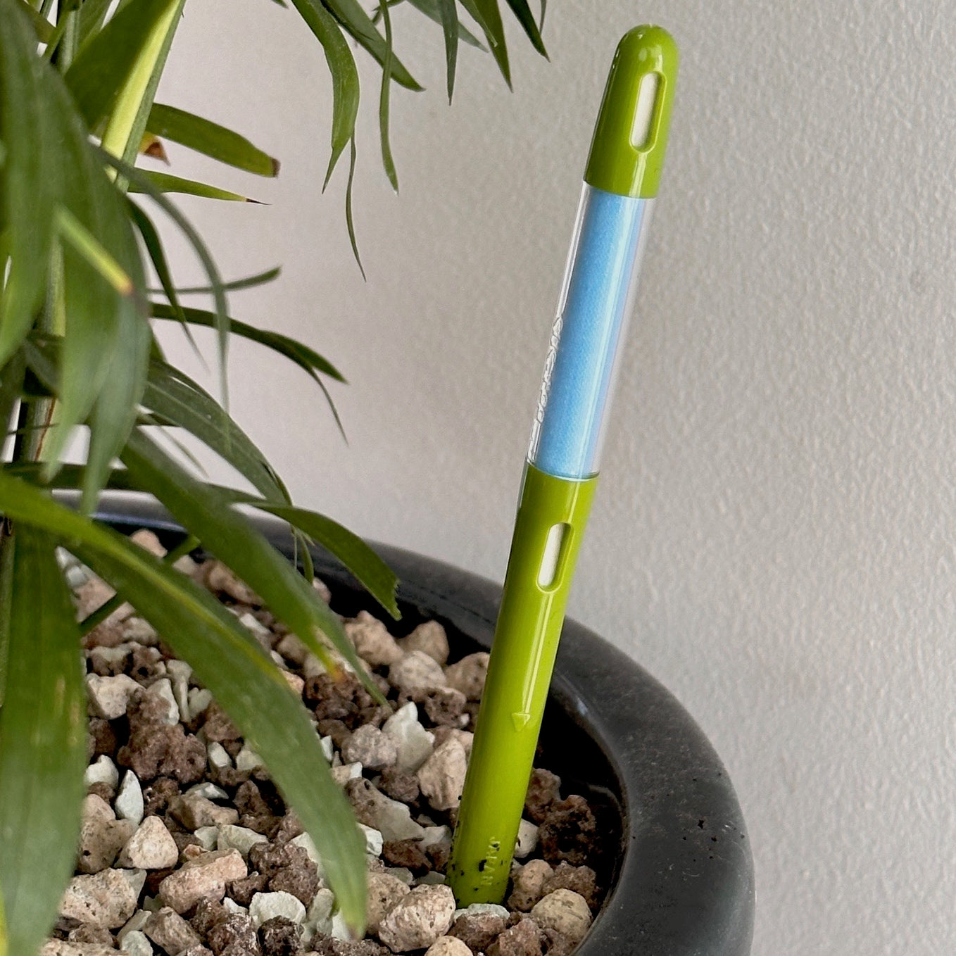 Sustee indoor plant water meter (3 sizes)