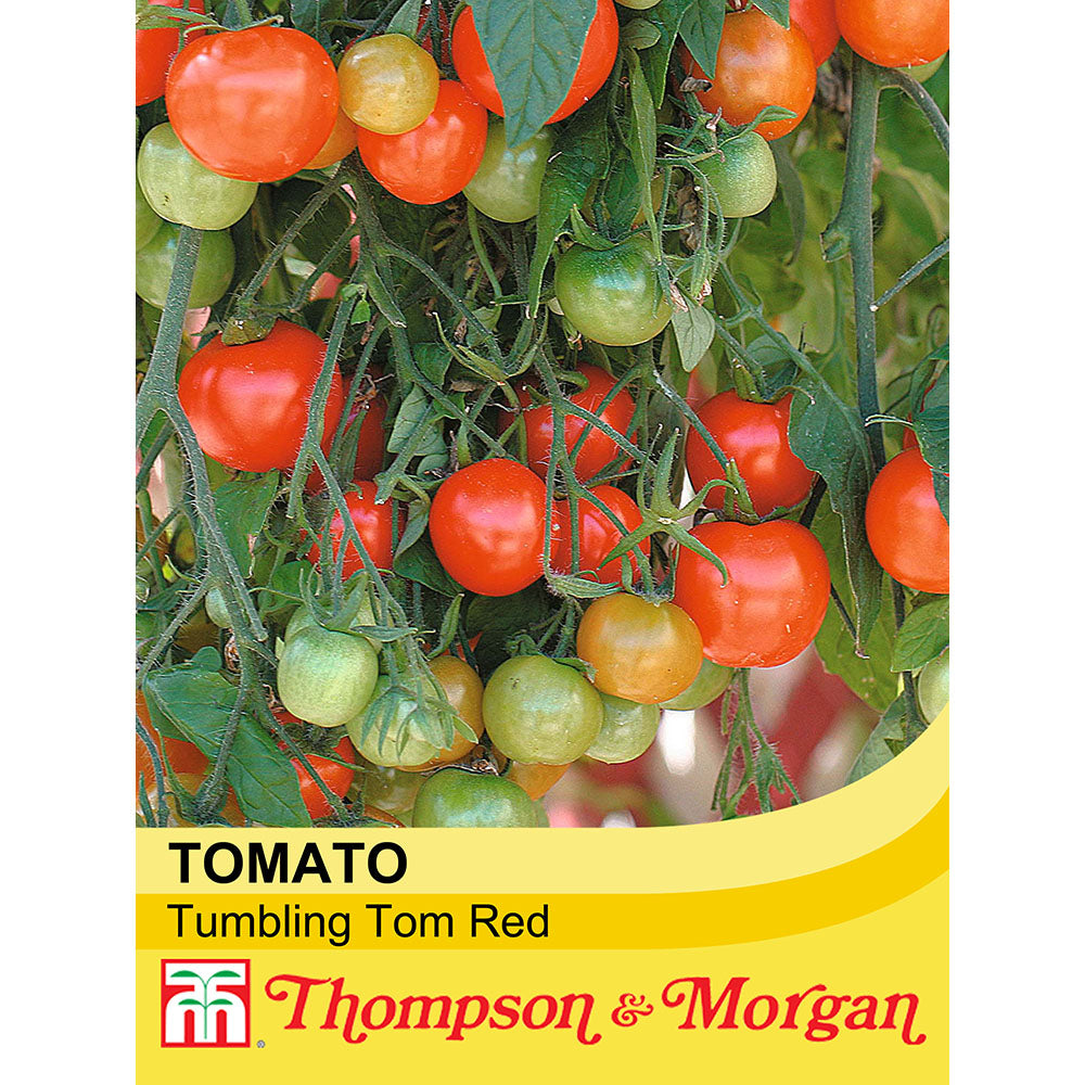 Tomato seeds 'Tumbling Tom Red' (Thomson and Morgan)