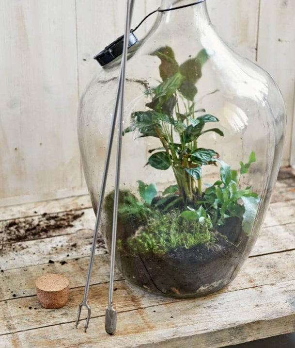 Sneeboer stainless steel terrarium tools (Spade & Fork)