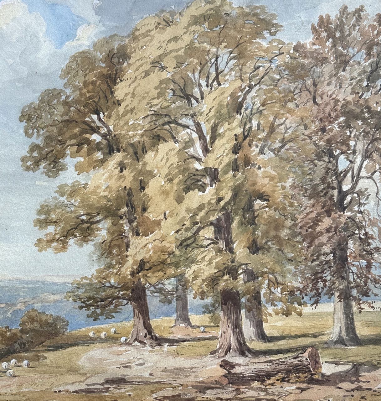William Howis Junior (1827-1857), Wooded Landscape (1857)