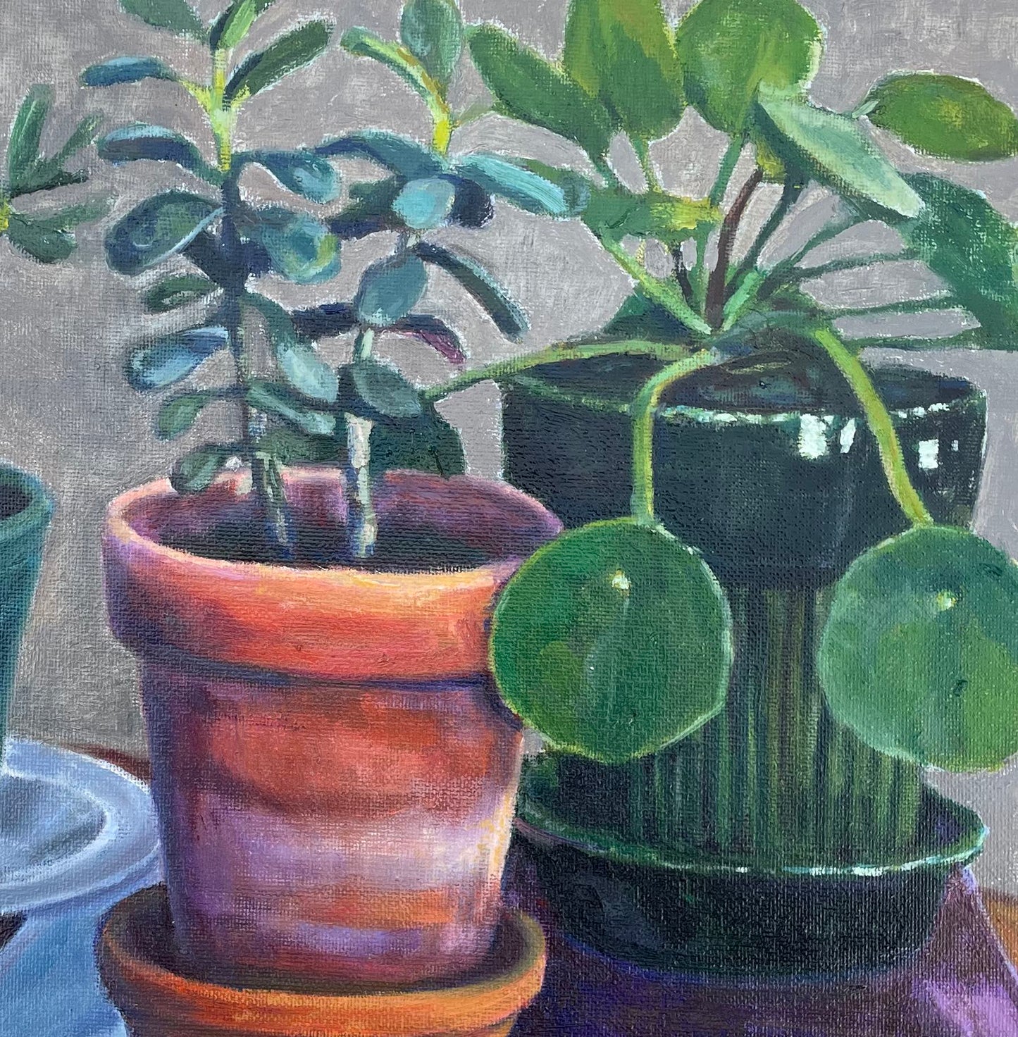 Ursula Celano, House plants and pots