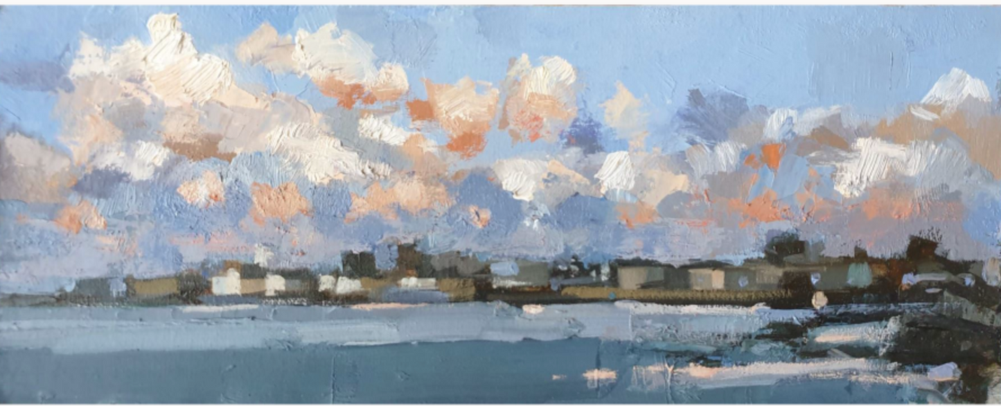 Bairbre Duggan, Sandycove study