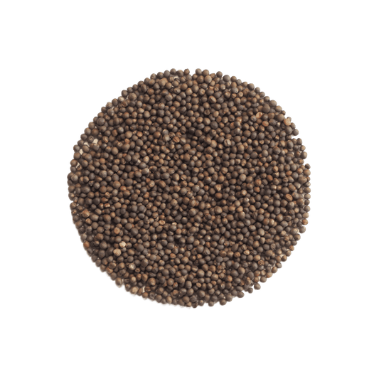 Sprouting seeds, certified organic (Keimgrun seeds)