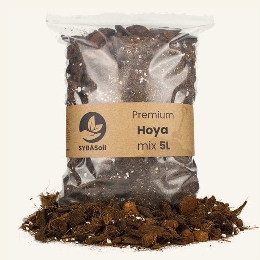 Hoya potting compost, 5 litres