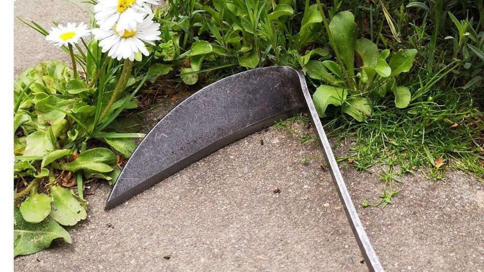 DeWit 'Japanese Hand Hoe' (2901)