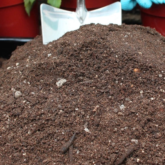 John Innnes No 3 compost, 20 litre bags (6 bags)
