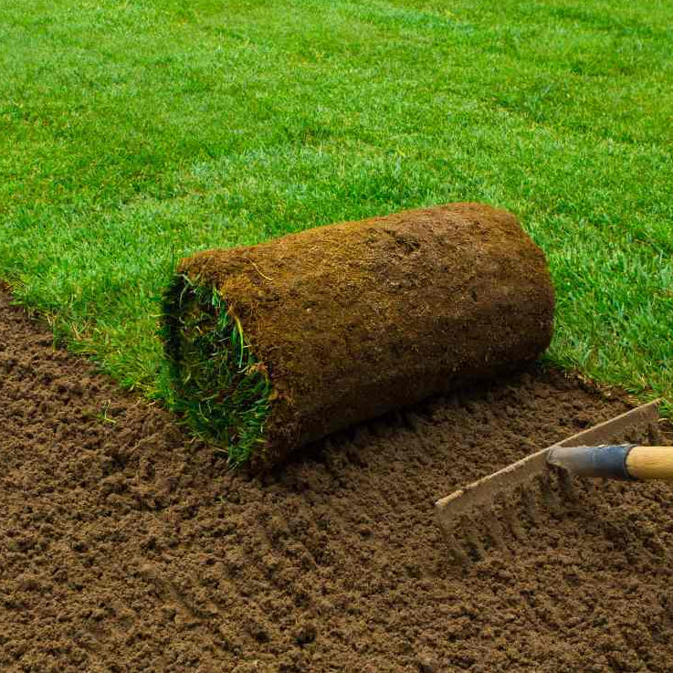 Grass sods / Roll out grass / Grass rolls (Dublin area only)