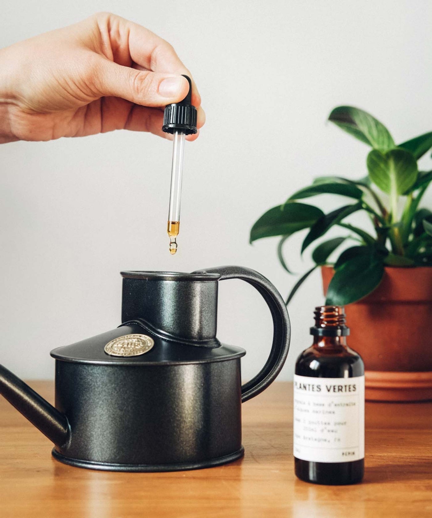 Cactus fertiliser, 50ml