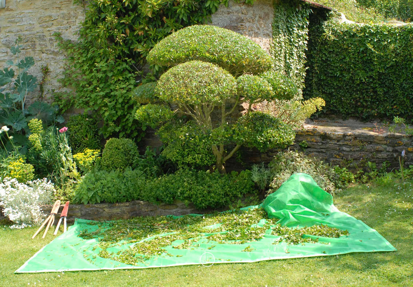 Pruning sheet 180 x 360cm