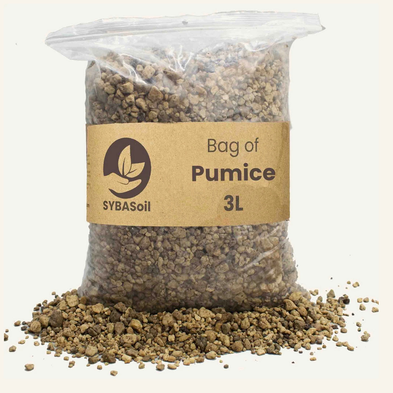 Pumice