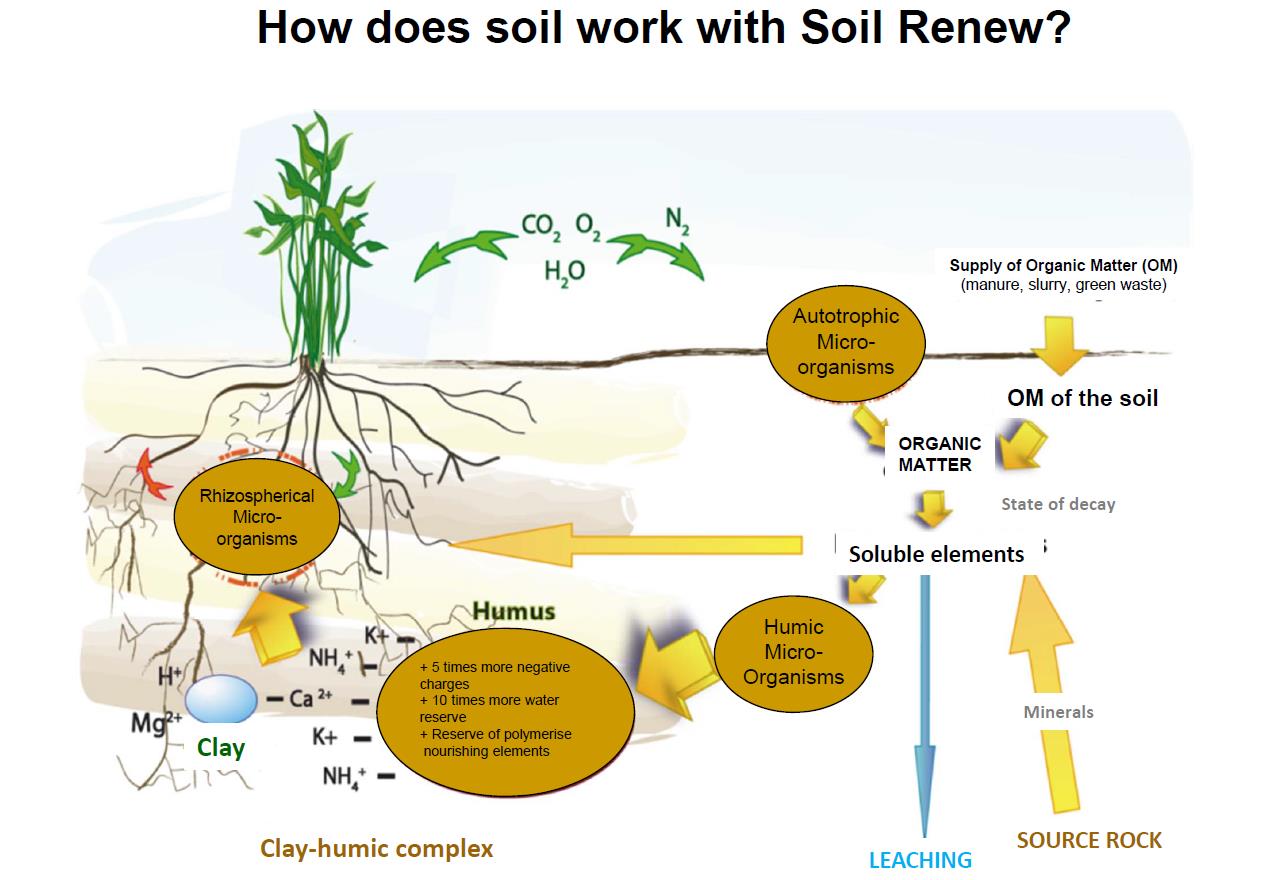 Soil Renew, certified organic soil improver