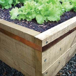 Slug barrier copper tape, 4 metres