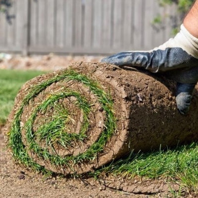 Grass sods / Roll out grass / Grass rolls (Dublin area only)