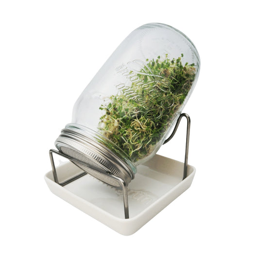 Sprouting jar, holder & tray