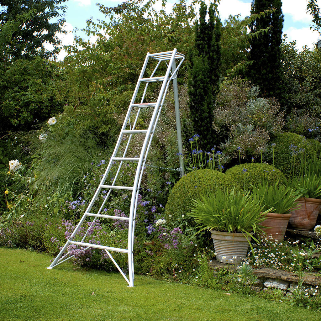 Niwaki tripod ladders: beloved by gardeners
