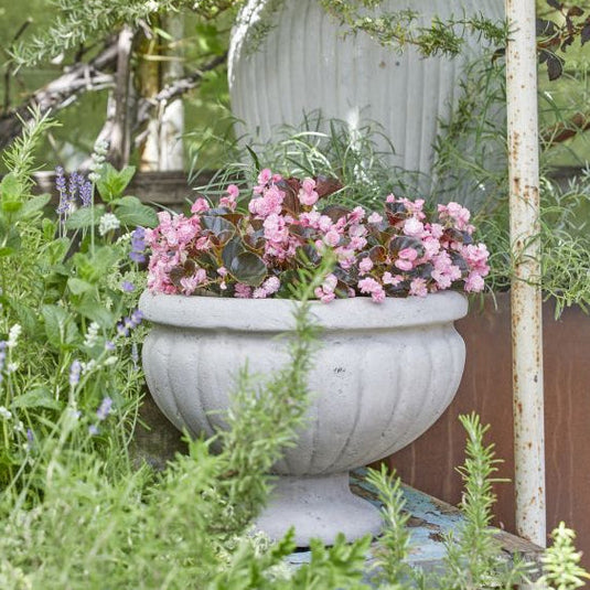 to Howbert & Mays garden centres Dublin