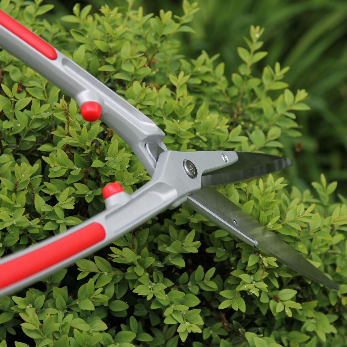 ARS 'KR-1000' professional hedge shears