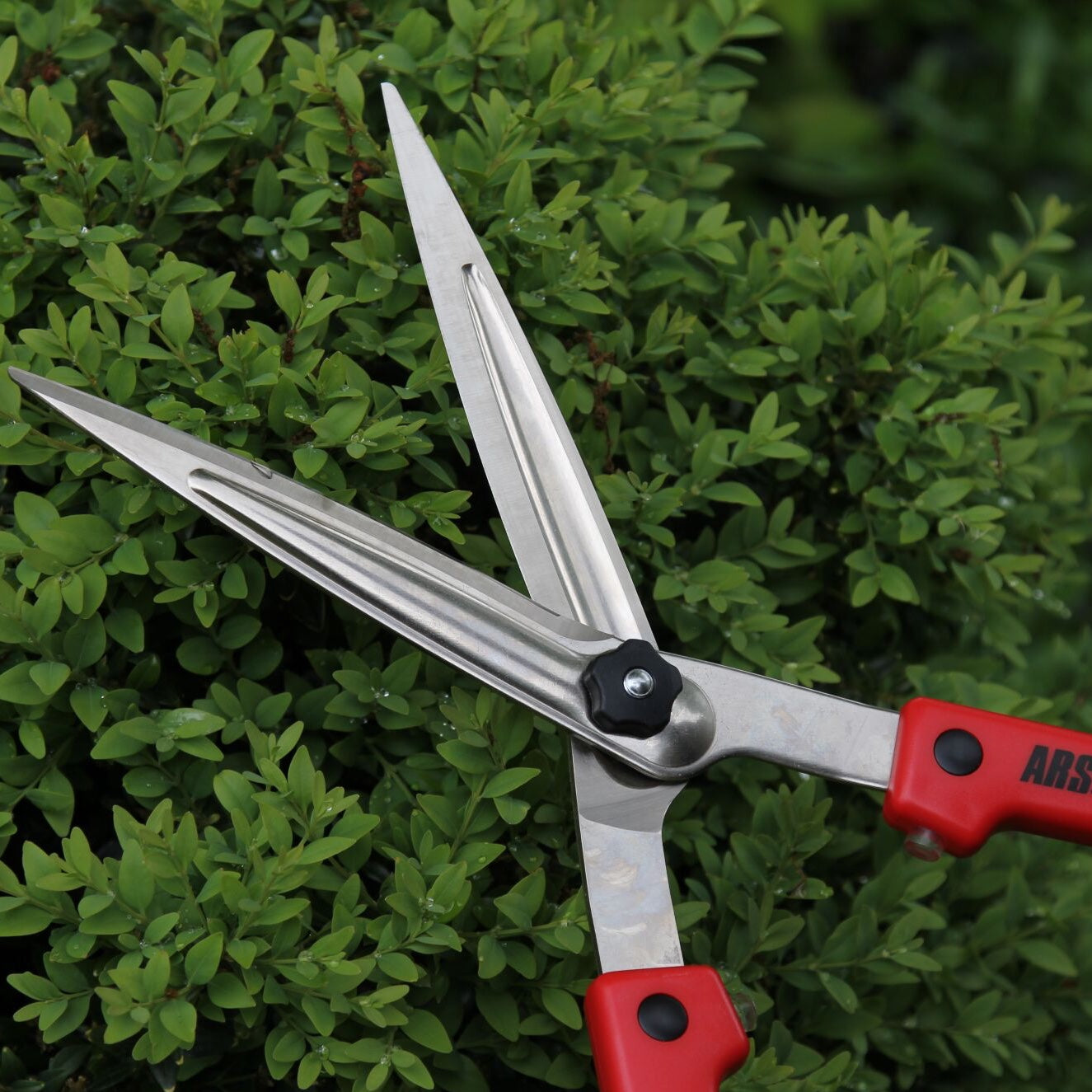 ARS 'K-800' mid-sized shears