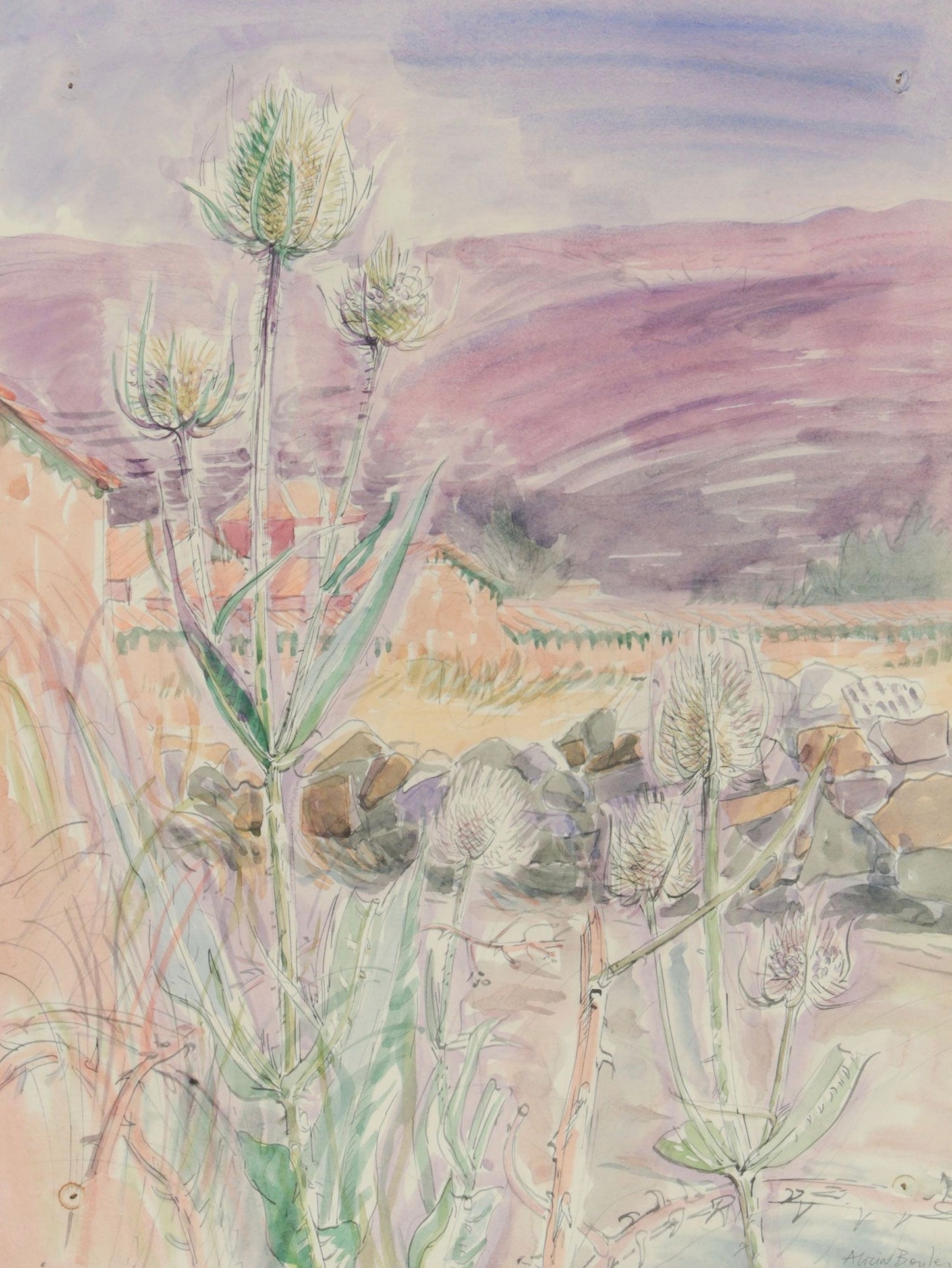 Alicia Boyle RBA, RHA (1908-1997), Teasel