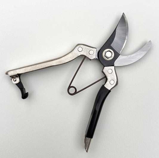 'Asaka' secateurs