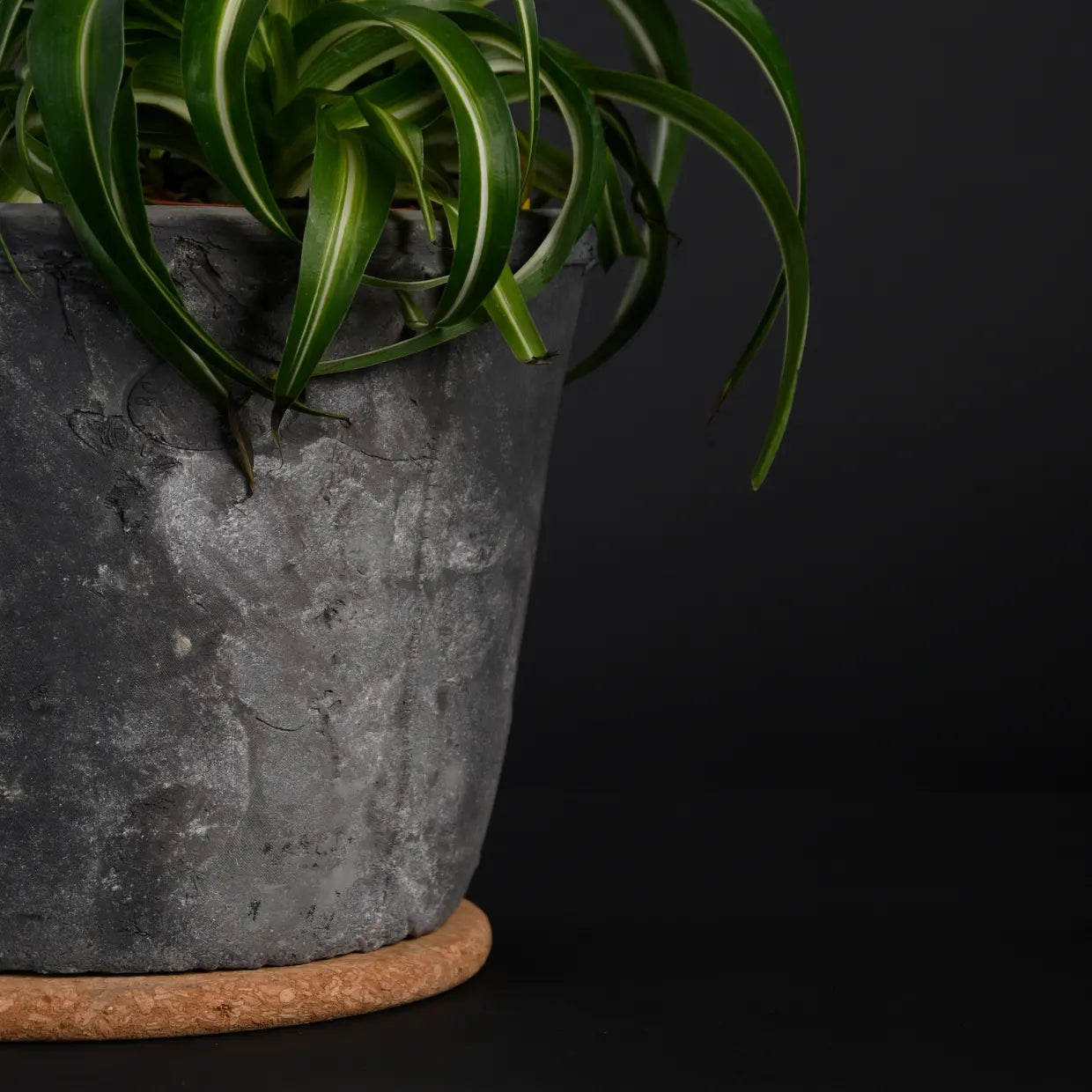 Cork saucer small