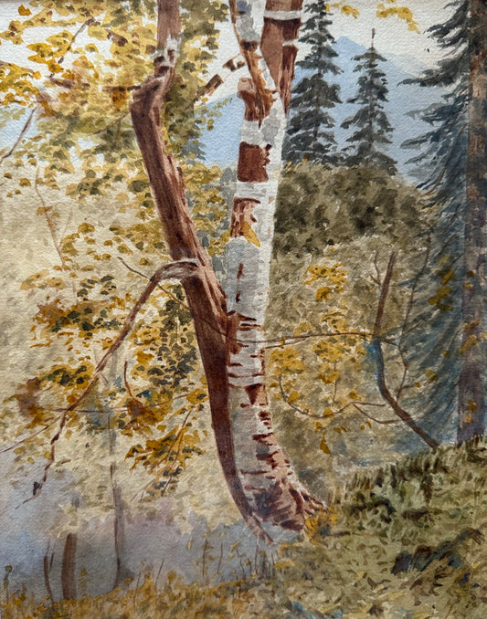 Anonymous 19th century, Birch tree and woodland