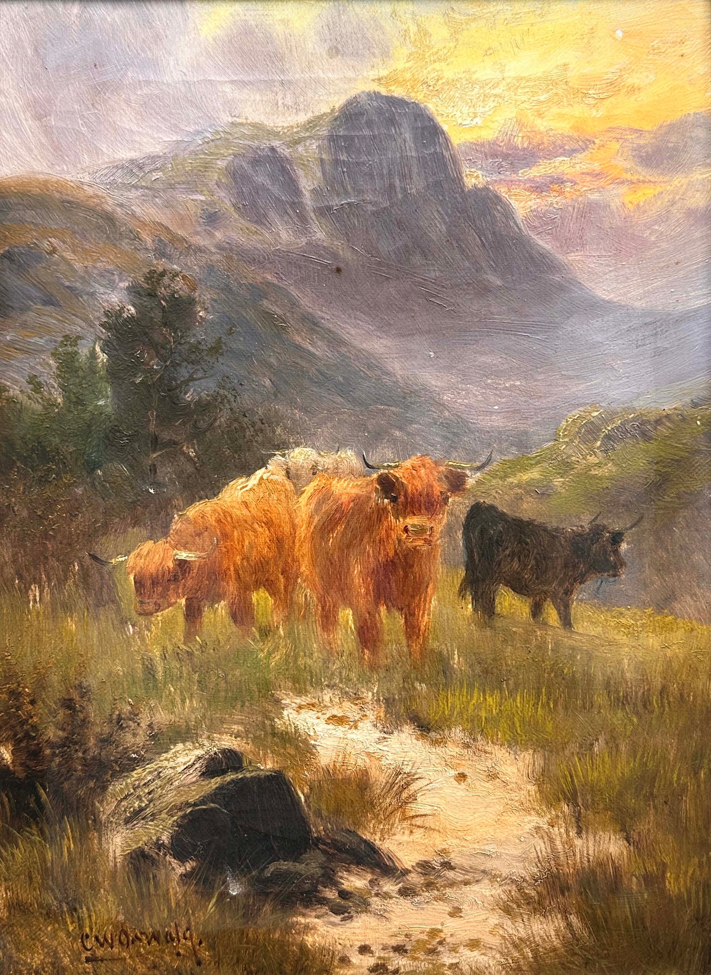 C.W. Oswald (1850-1900), Highland Cattle