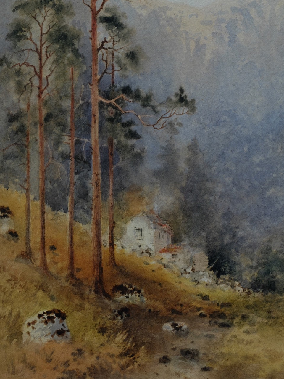 Celia P. Culverwell (1849-1932), Wooded Landscape